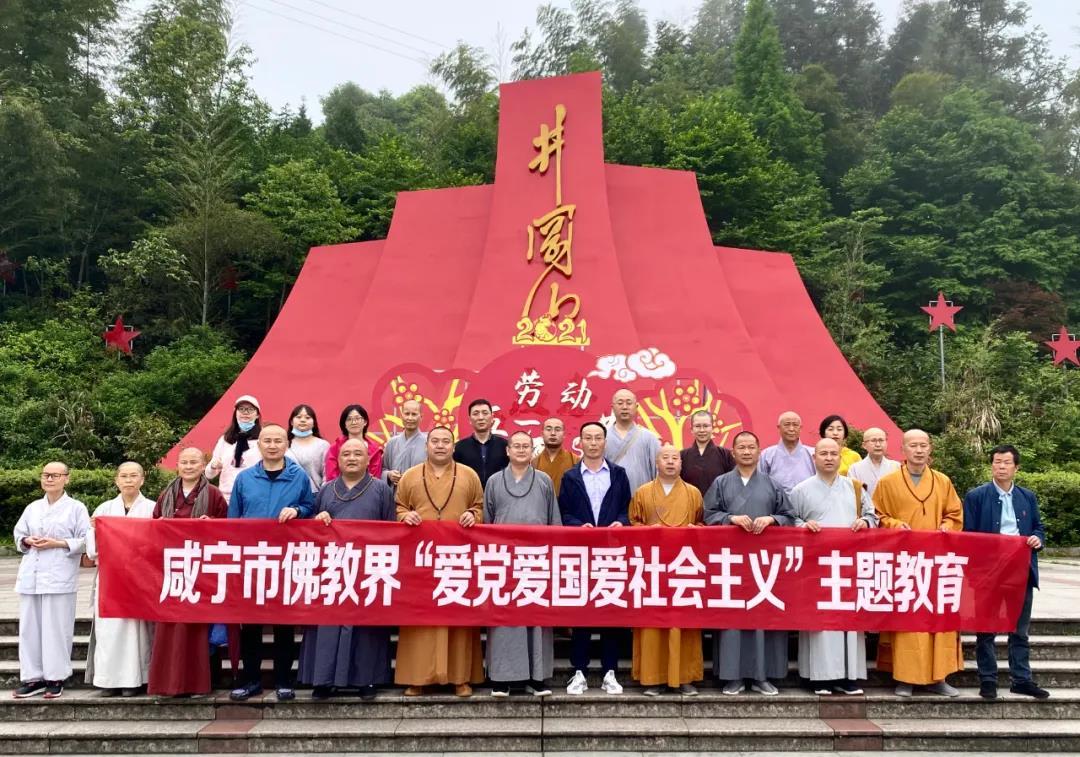 胖小猫救援